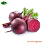 Củ dền organic ( Beet Roots Org) Hữu cơ