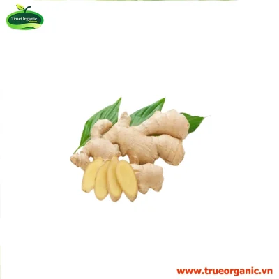 GỪNG HỮU CƠ 200g