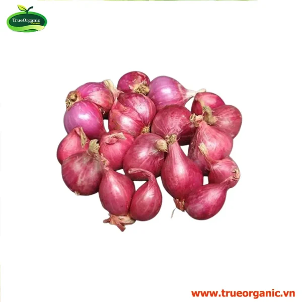 Hành tím hữu cơ - Red Onion Org