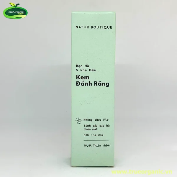 Kem đánh răng hương bạc hà và nha đam Natur Boutique 75ml