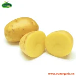 Khoai tây Org - Potato Org hữu cơ