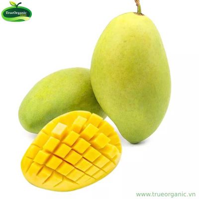 XOÀI CÁT HÒA LỘC 1KG